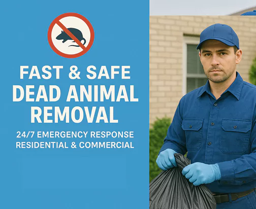 Toorak Dead Animal Removal